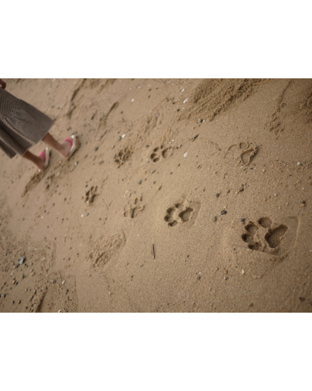 Yellow Animal Flipflop footprints